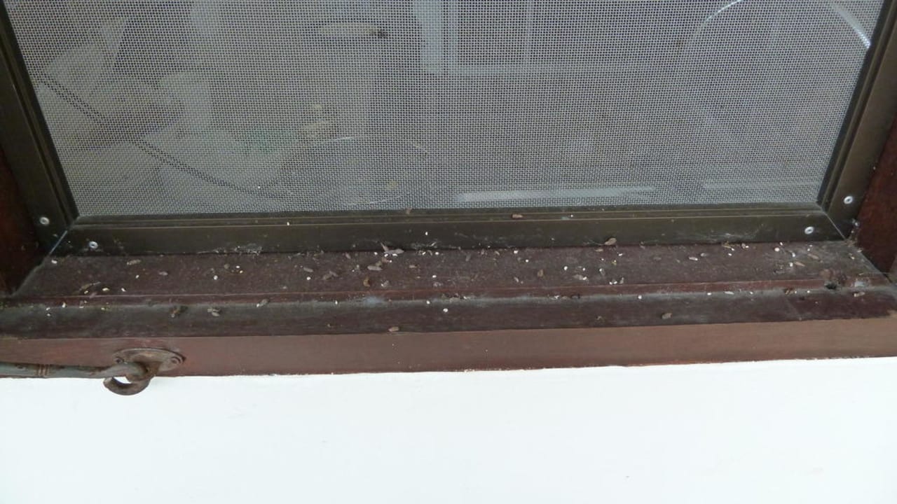 Thema Sauberkeit Koh Tao Star Villa