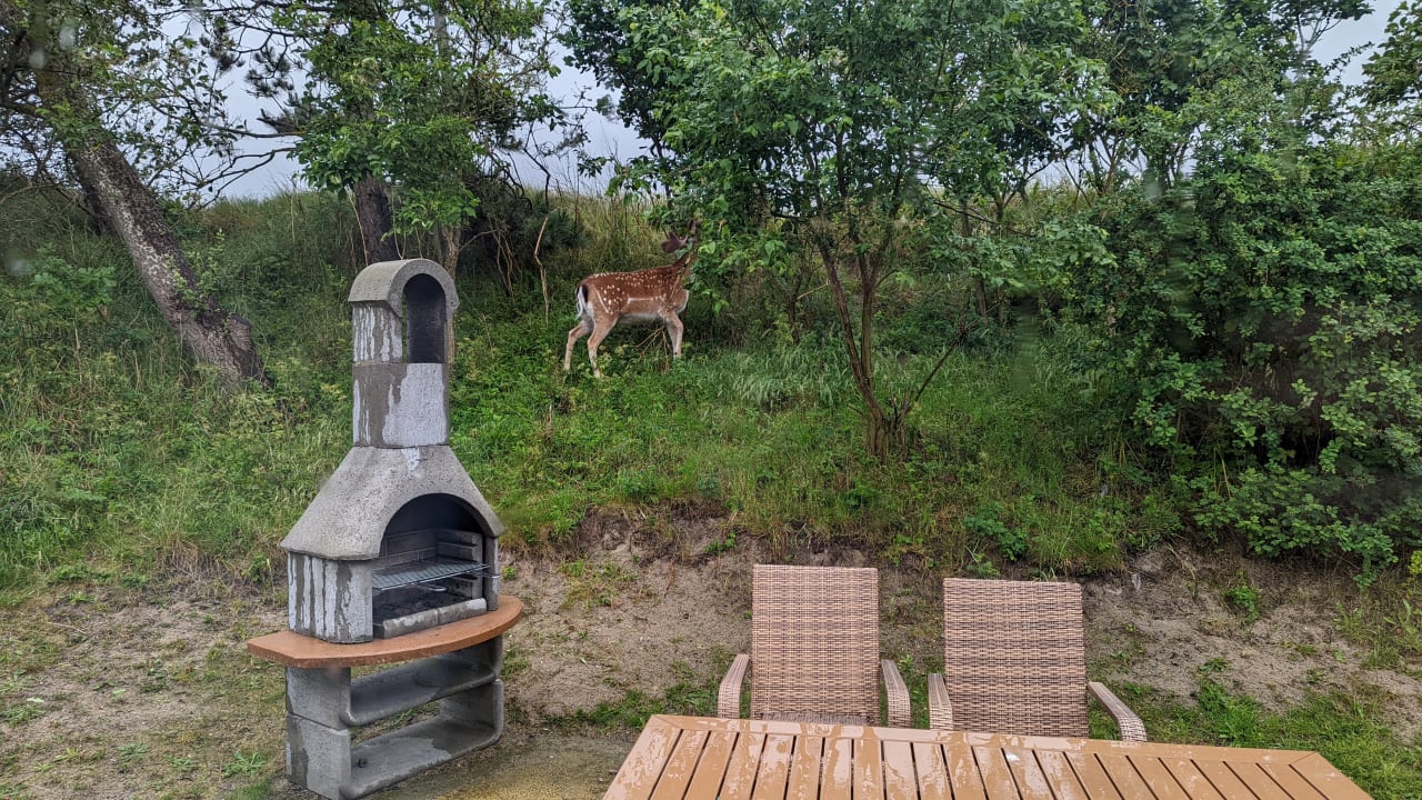 Außenansicht Center Parcs Park Zandvoort - Ferienhäuser