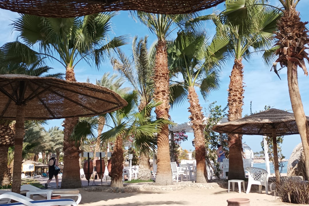 Gartenanlage Fort Arabesque Resort, Spa & Villas