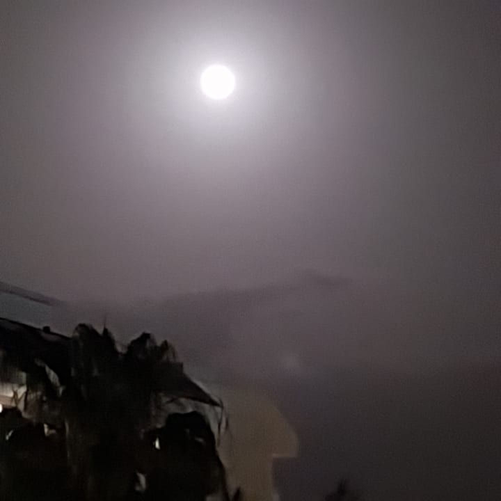 Ausblick Hotel Gardenia Beach