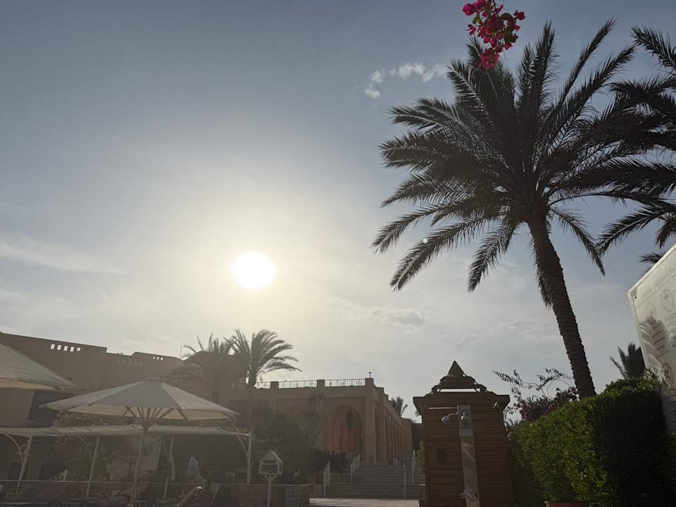 Pool Steigenberger Coraya Beach - Adults only