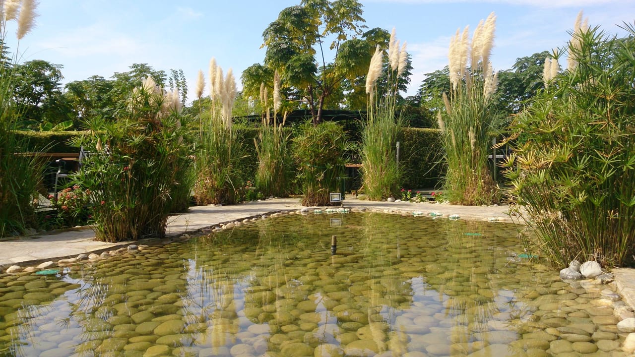 A la Carte Restaurant mit Teich Can Garden Resort