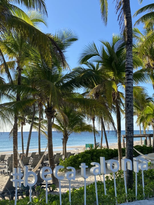 Ausblick Catalonia Royal Tulum Beach & Spa Resort - Adults only