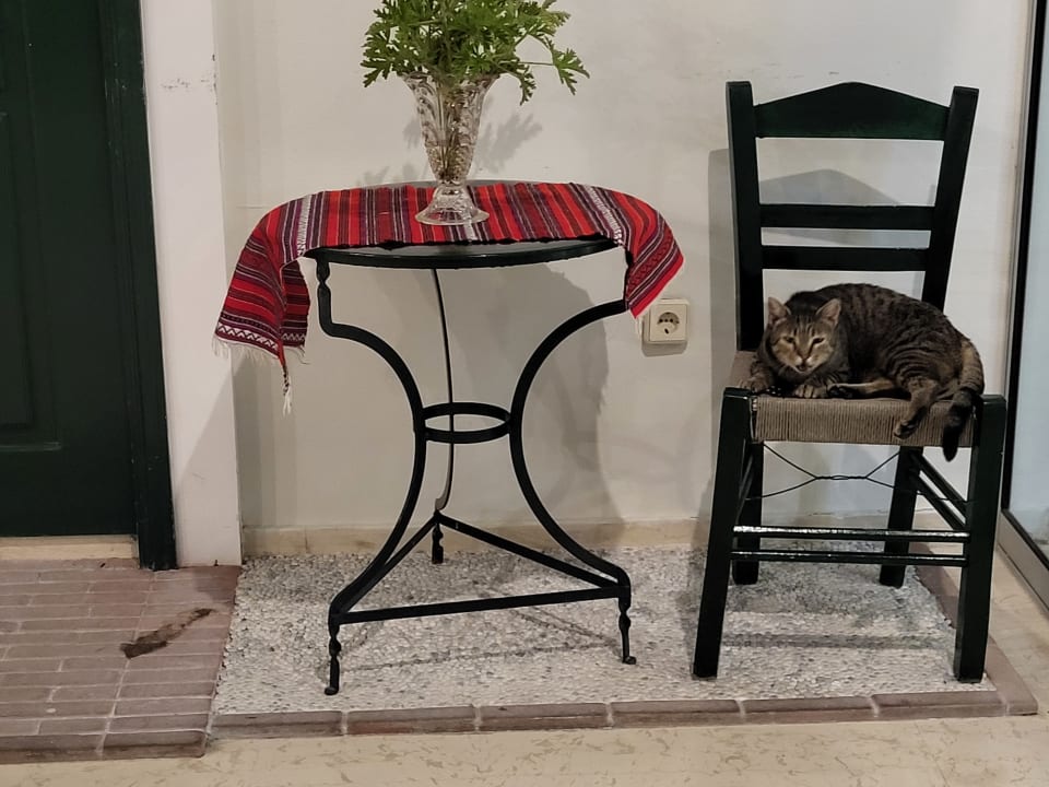 Sonstiges Irene Palace Beach Resort Club alltoura