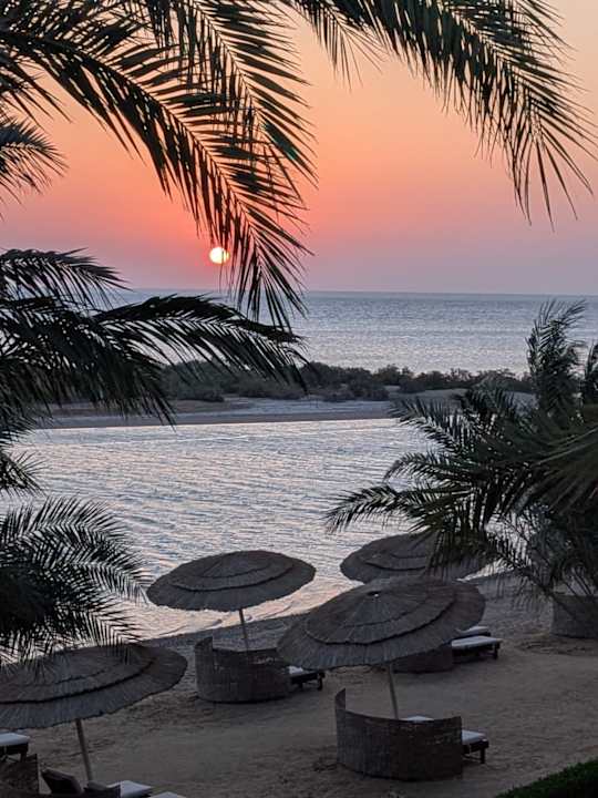 Zimmer Sheraton Miramar Resort El Gouna