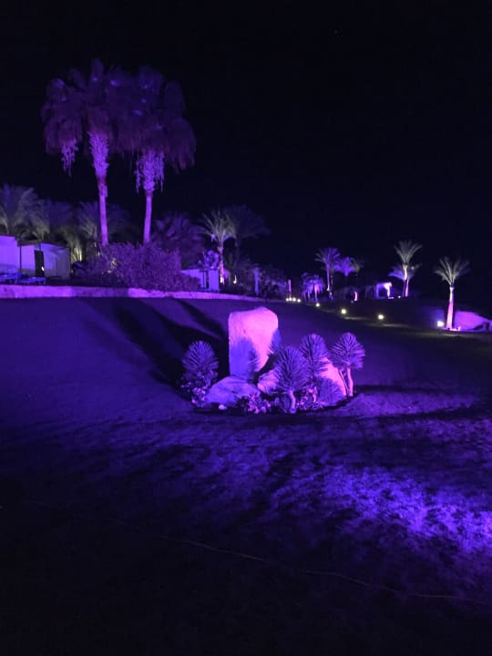 Strand Steigenberger Coraya Beach - Adults only