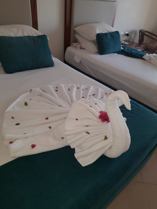 Zimmer Jaz Soma Beach