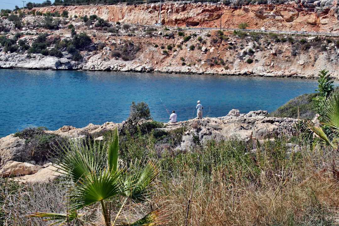 Umgebung Grillplatz Hotel Peine