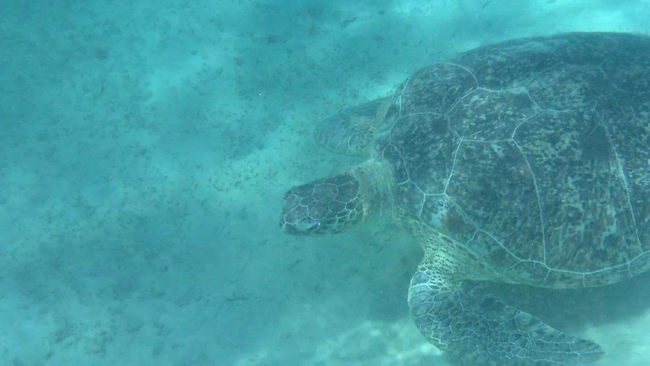 Sonstiges Amarina Abu Soma Resort & Aquapark