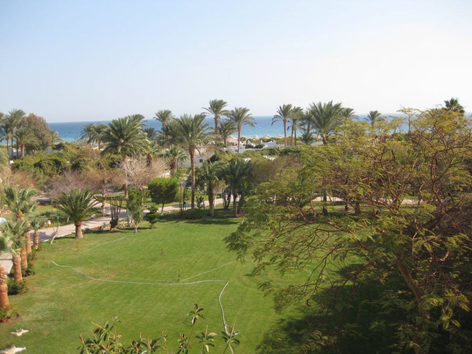 Ausblick vom Zimmer 433 Shams Safaga Resort