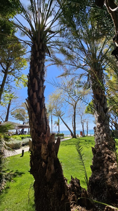 Gartenanlage Side Star Elegance