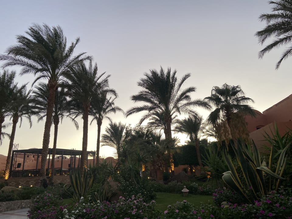 Gartenanlage Jaz Makadi Oasis Resort