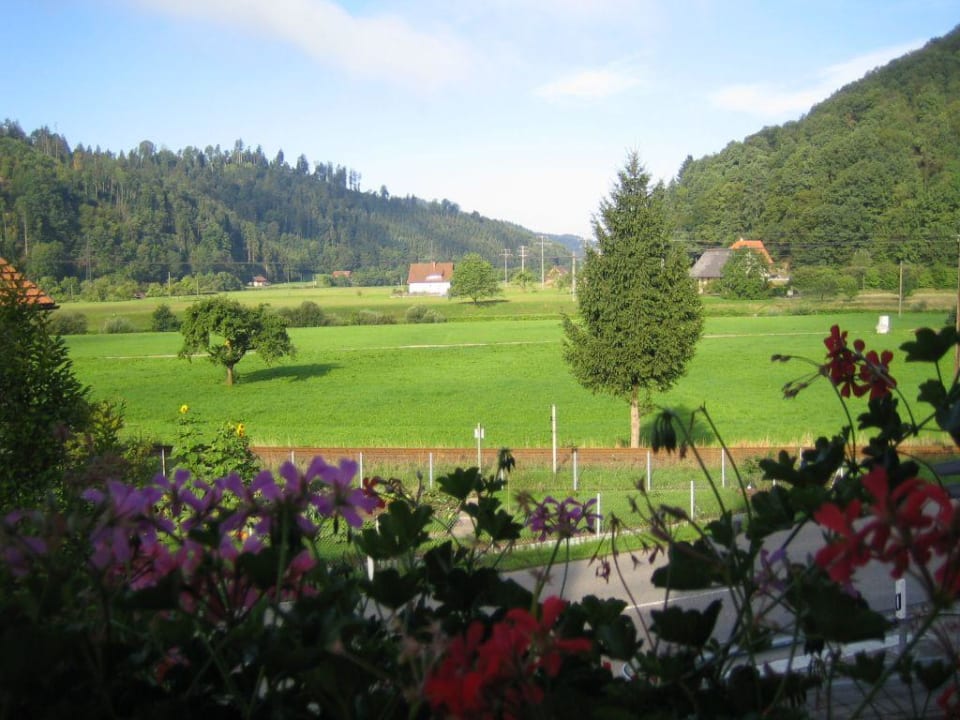 Morgenstimmung Hotel Kirnbacher Hof