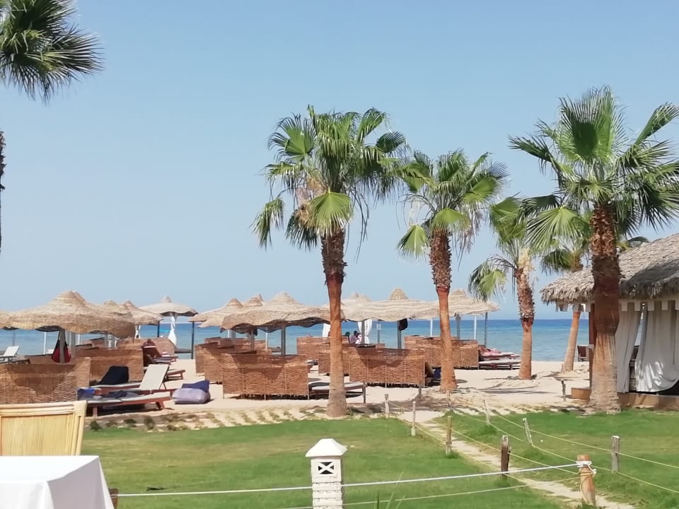 Albatros beach club abu soma 4 фото