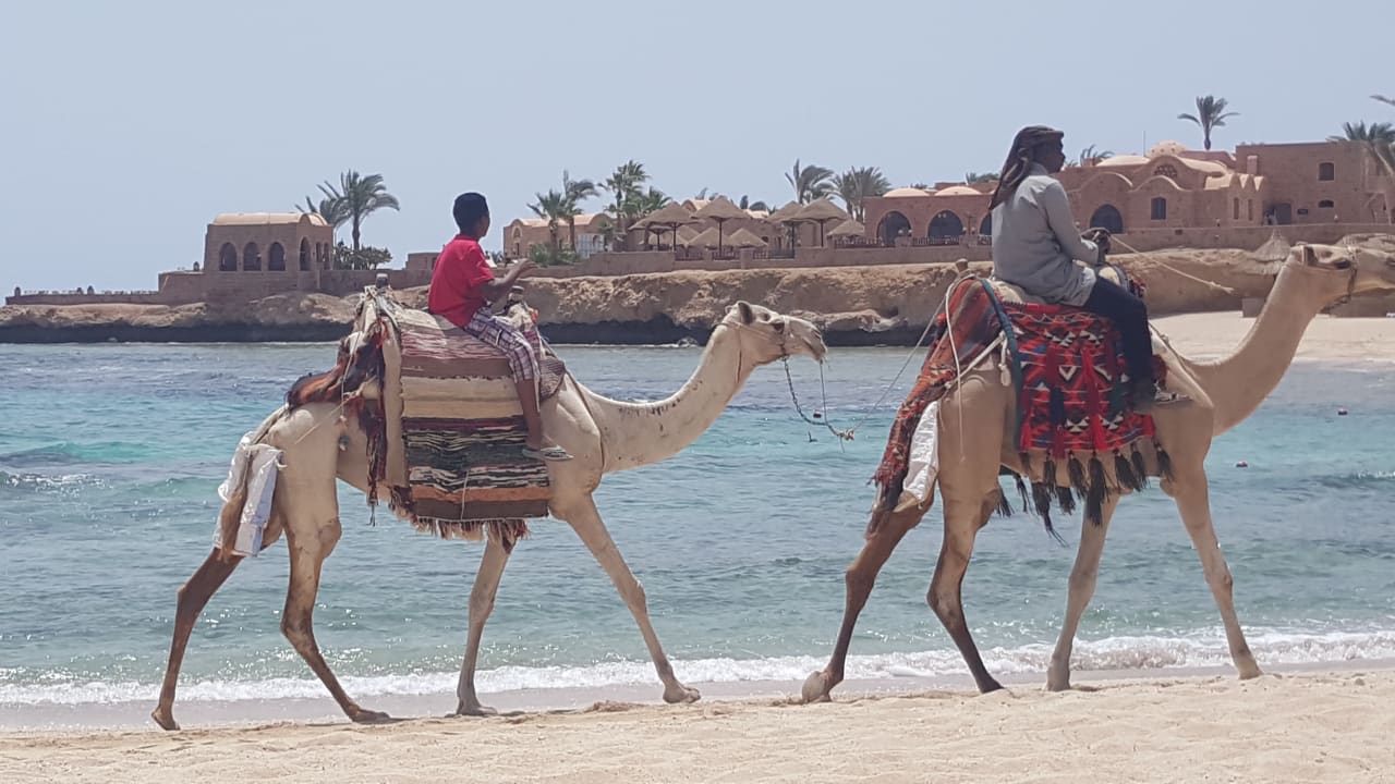 Strand Mövenpick Resort El Quseir