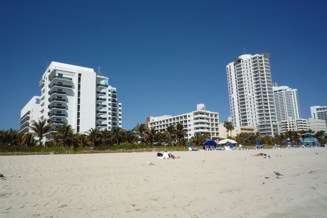 Strand und Gebäude The Confidante Miami Beach