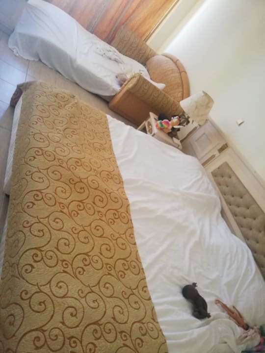 Zimmer Imperial Palace Hotel