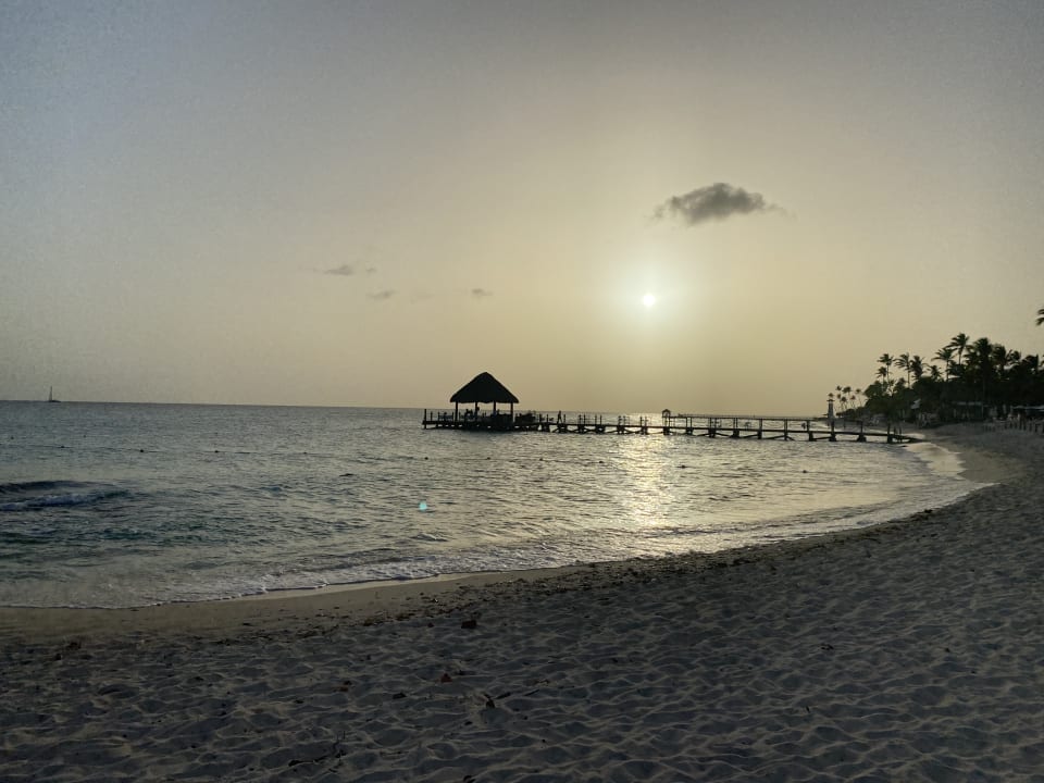 Strand Catalonia Royal La Romana - Adults only