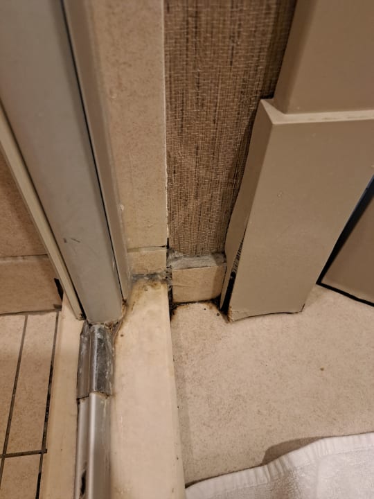 Zimmer Well Palace Side