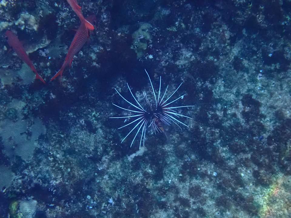 Strand Three Corners Sea Beach Resort