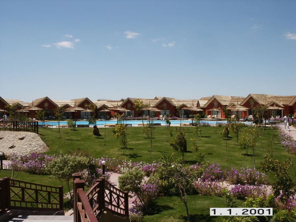 Blick auf die Unterkünfte Pickalbatros Jungle Aqua Park Resort - Neverland Hurghada