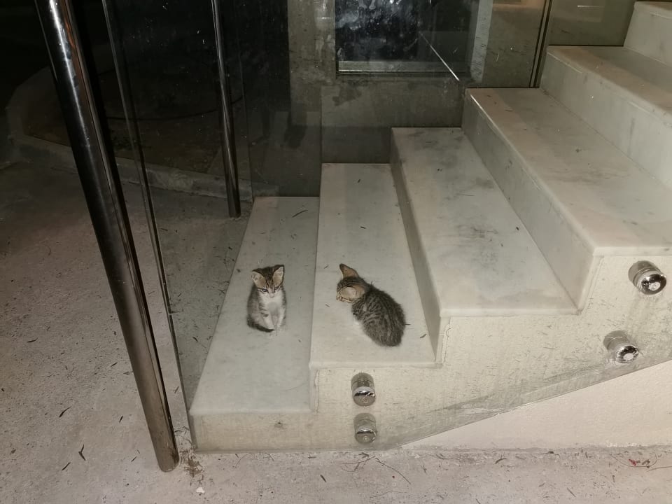 Sonstiges Long Beach Club Nature