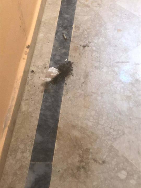 Lobby Hotel Ideal Beach