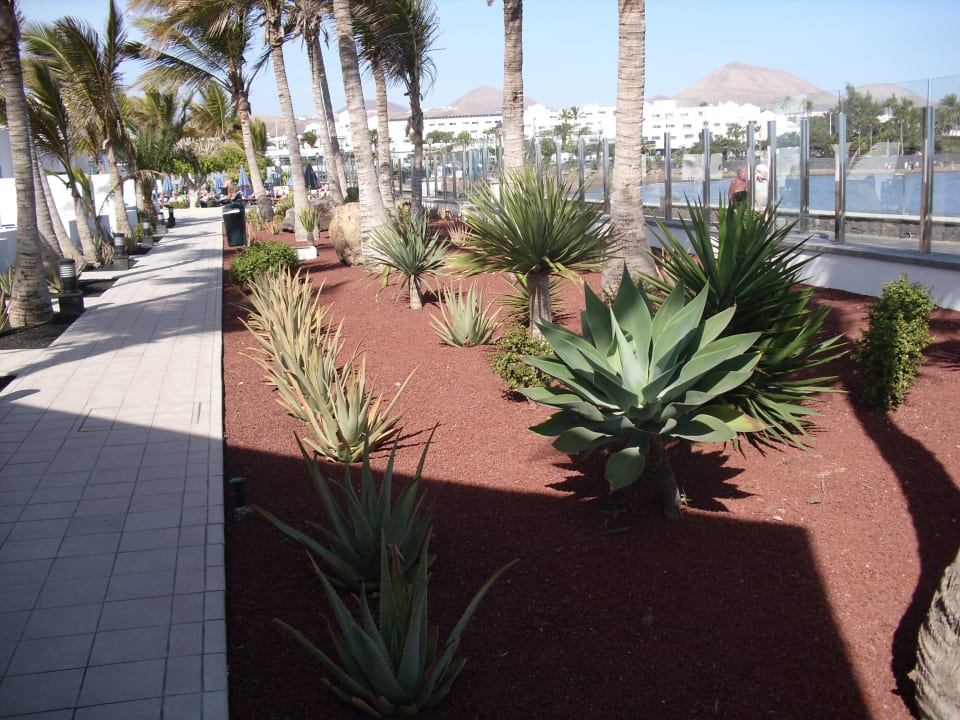 Weg vor unserer Terrasse Hotel Las Costas