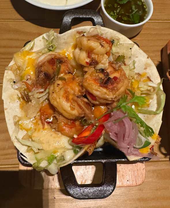 Gastro JAZ Elite Asteria