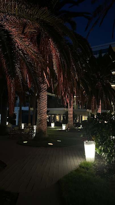 Gartenanlage Melia La Palma Hotel