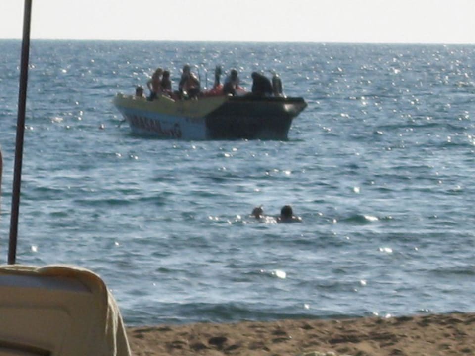 Boote Hotel Orfeus Park