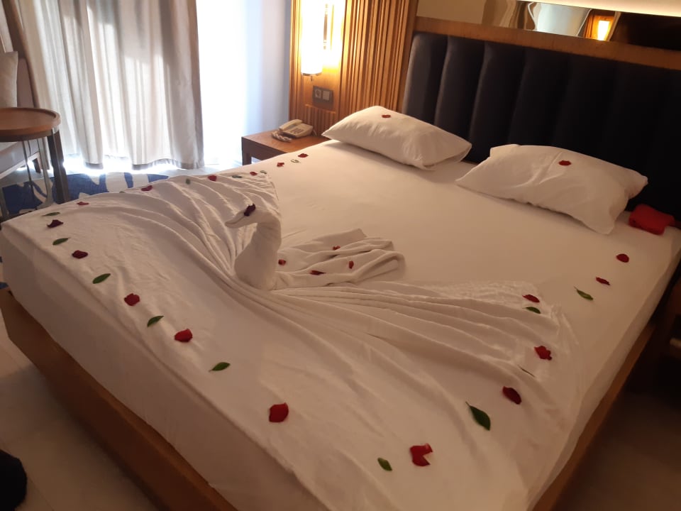 Zimmer Sidemarin Kirman Premium
