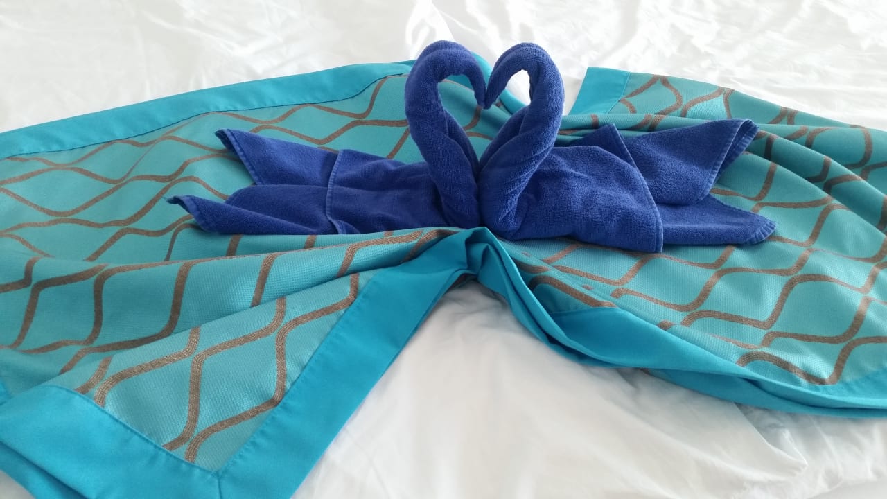 Zimmer Sentido Marea