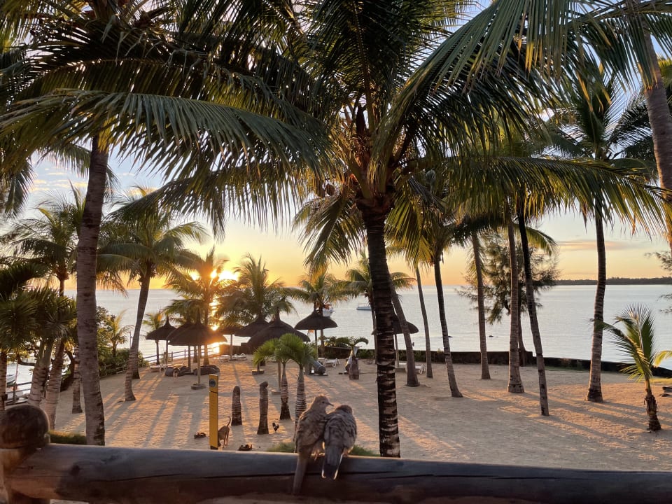 Ausblick Lagoon Attitude - Adults only