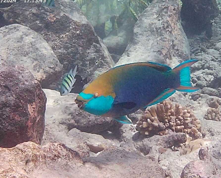 Strand Dreamland The Unique Sea & Lake Resort / Spa