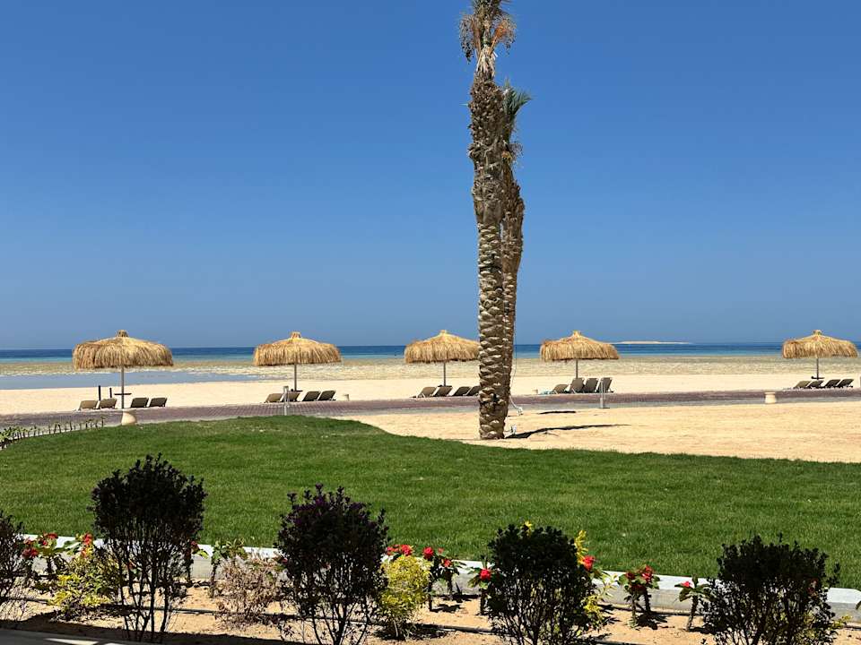 Strand JAZ Elite Asteria