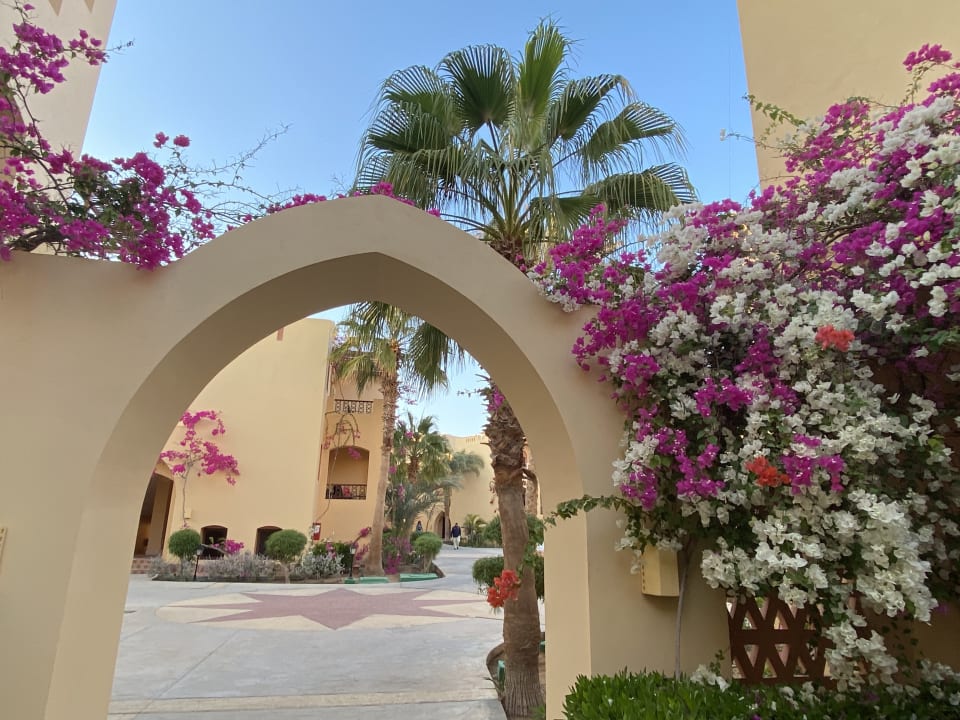 Sonstiges Steigenberger Coraya Beach - Adults only