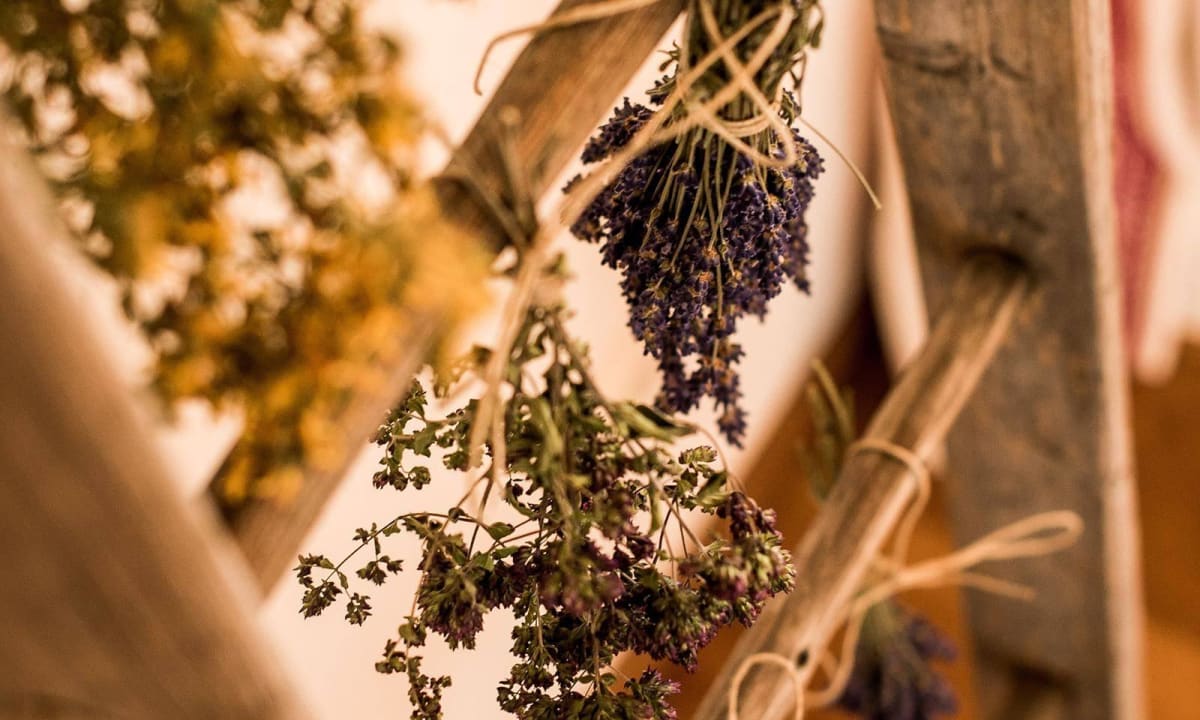 Kräuter Hotel Forsters Naturresort