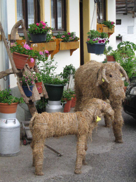Tierisch gut Pension Salaterhof