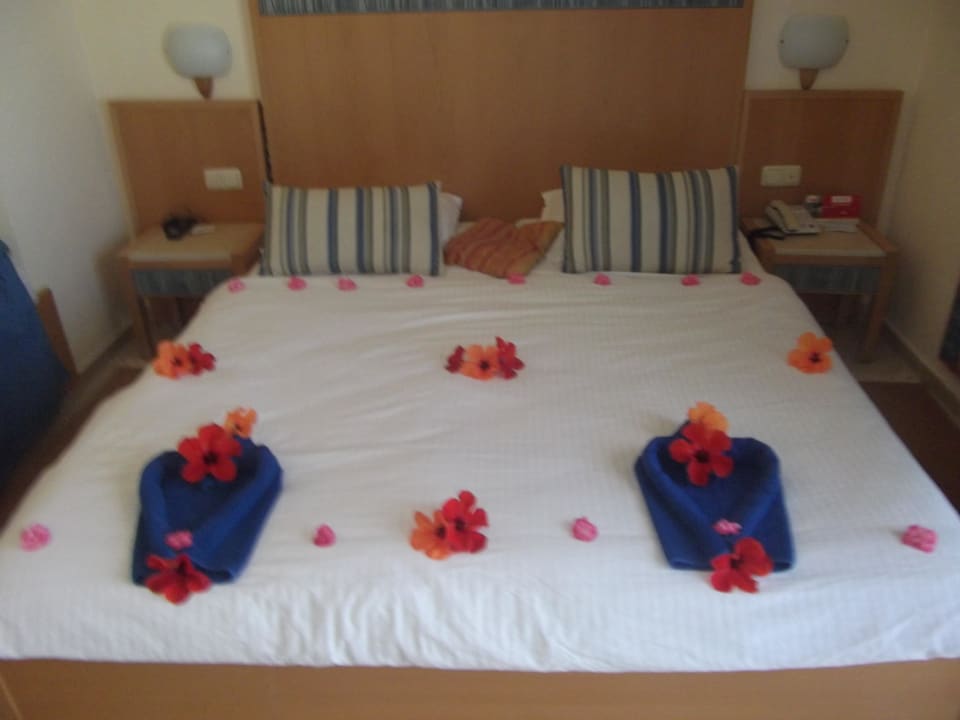 Zimmermädchen hat uns mit Blumen überrascht Club Salammbô Hammamet