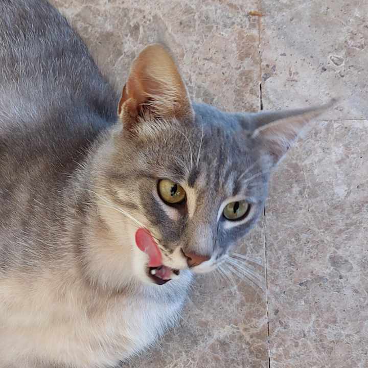 Sonstiges Sentido Trendy Verbena Beach