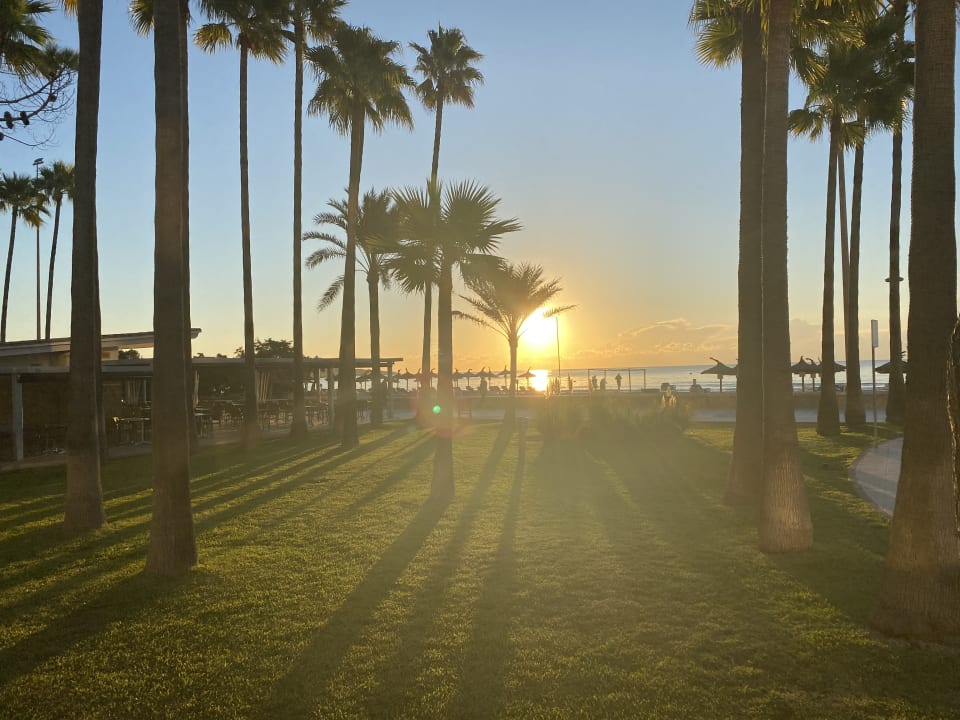 Gartenanlage Hipotels Mediterraneo Club