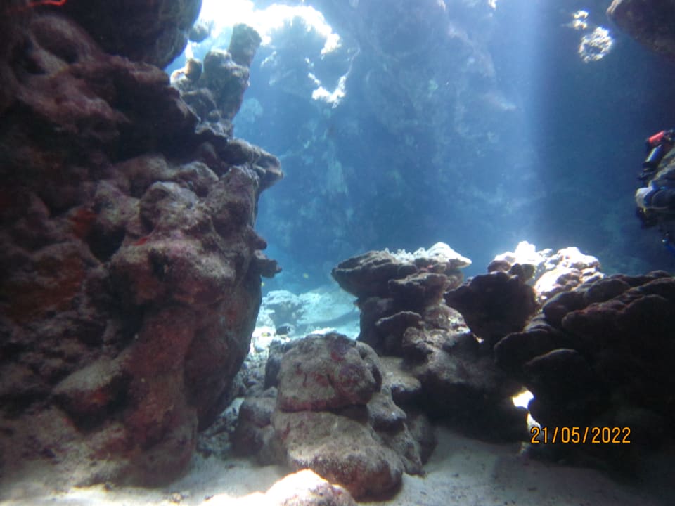 Sport & Freizeit The Oasis Dive Resort