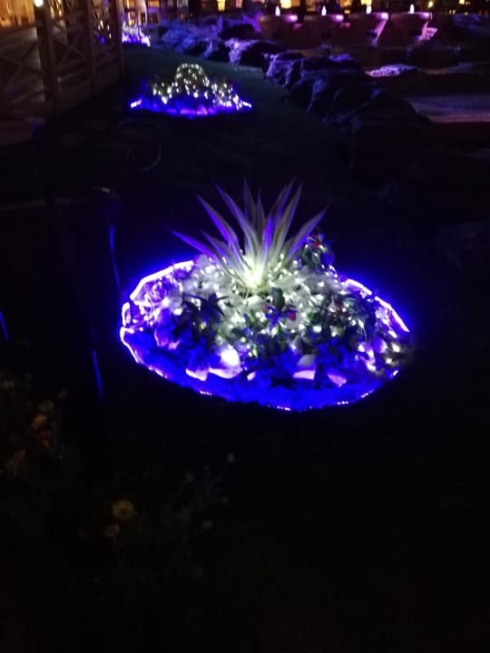 Sonstiges Tropitel Sahl Hasheesh