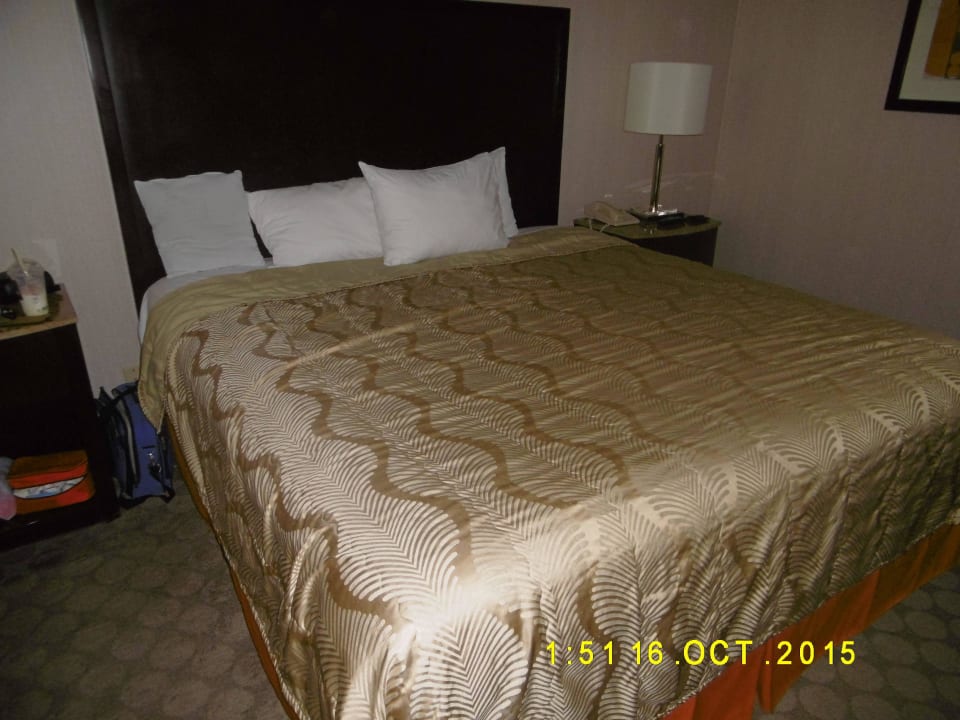 King Site Bett Hotel Circus Circus