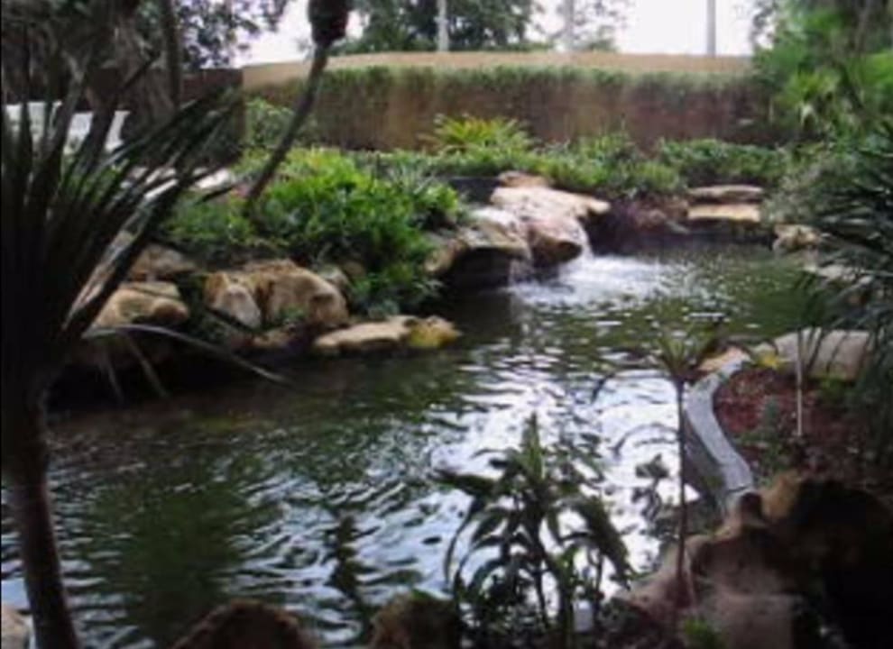 Garten vor dem Pool DoubleTree by Hilton Hotel Miami Airport & Convention Center