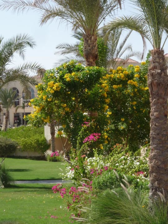 Hotelanlage Cleopatra Luxury Resort - Sharm El Sheikh