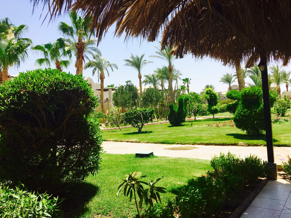 Gartenanlage Jaz Makadi Saraya Resort