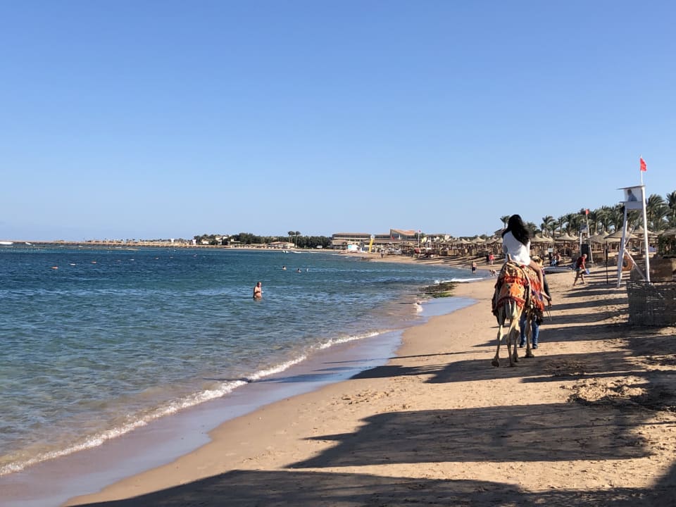 Strand Jaz Makadina