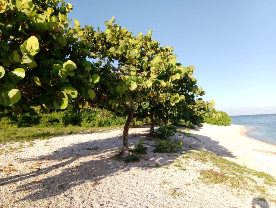 Strand Hotel Al Mare In B&B